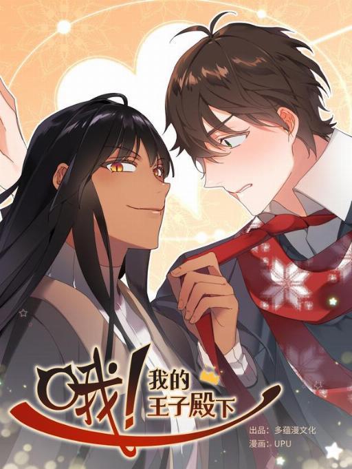 哦!我的王子殿下